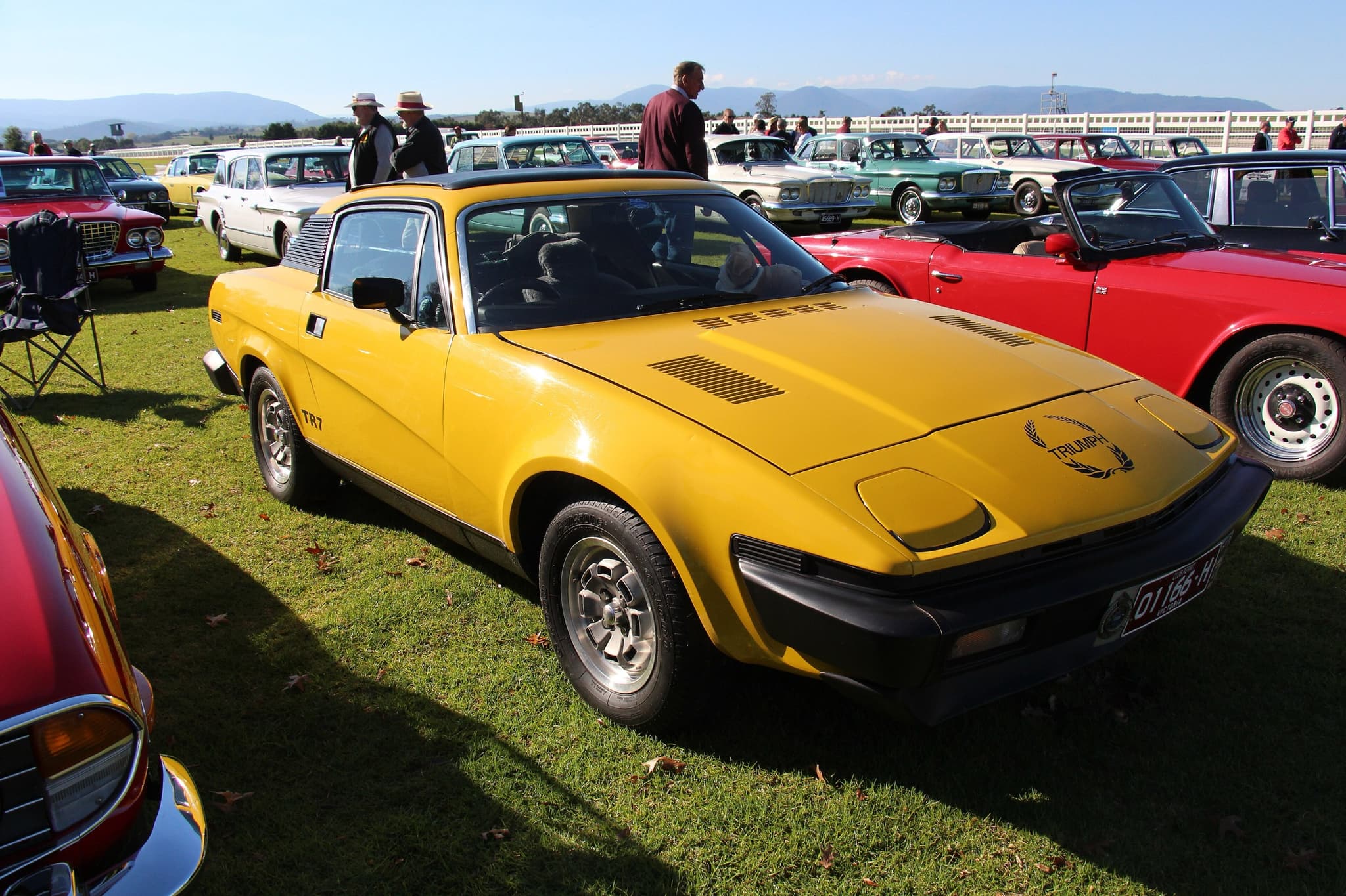 A yellow wedge-shaped coupé with closed pop-up headlamps and black bumpers, parked on grass among rows of classic cars.